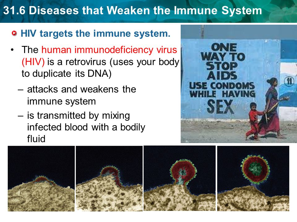 HIV targets the immune system.