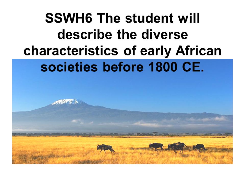 SSWH6 The student will describe the diverse characteristics of early African societies before 1800 CE.