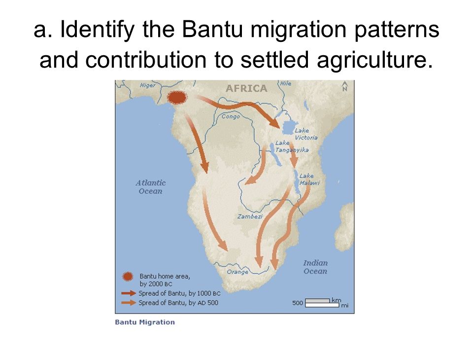 a. Identify the Bantu migration patterns and contribution to settled agriculture.