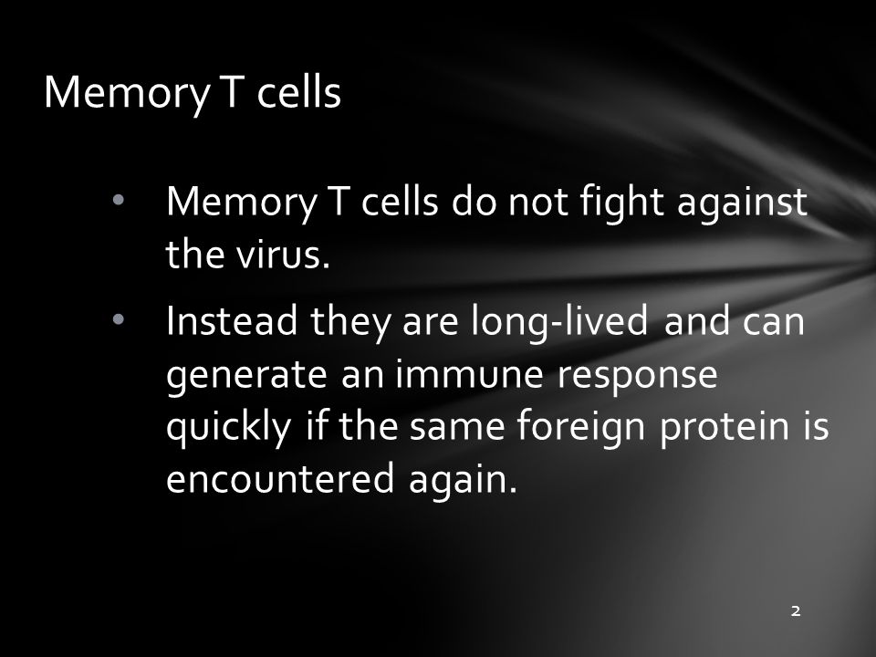 Memory T cells Memory T cells do not fight against the virus.