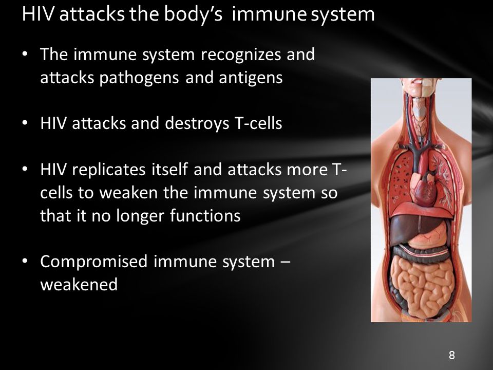 HIV attacks the body’s immune system
