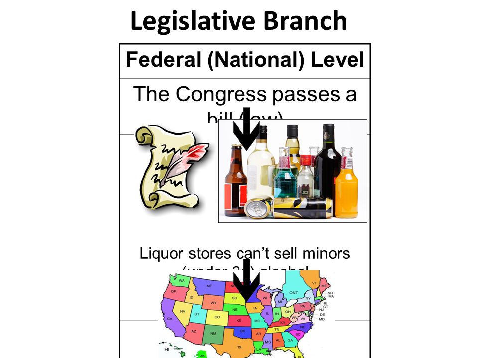 Federal (National) Level