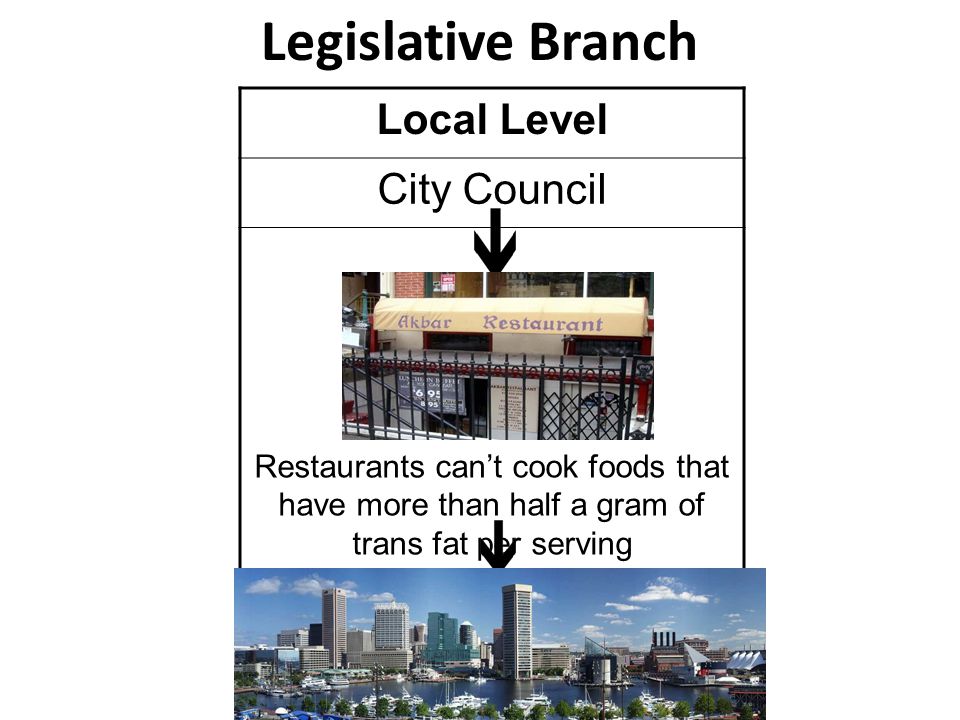 Legislative Branch Local Level City Council