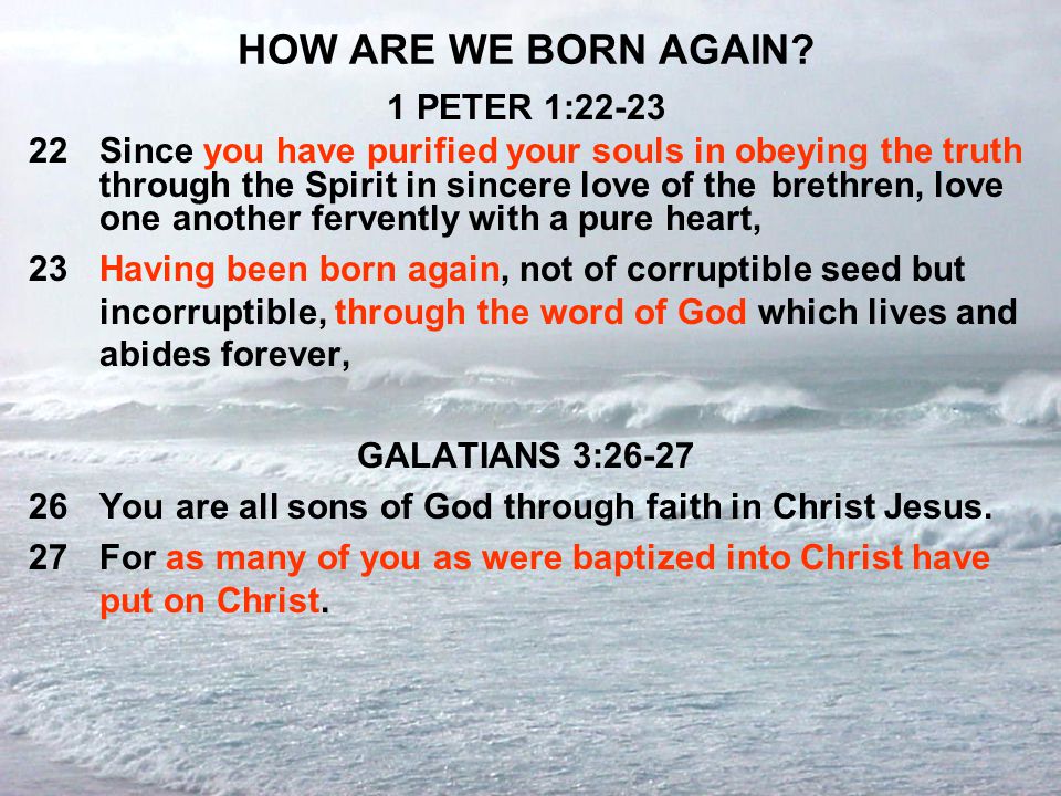 HOW ARE WE BORN AGAIN 1 PETER 1:22-23