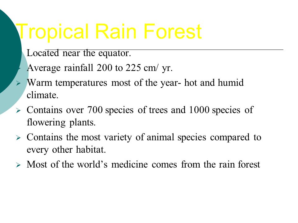 Tropical Rain Forest Located near the equator.