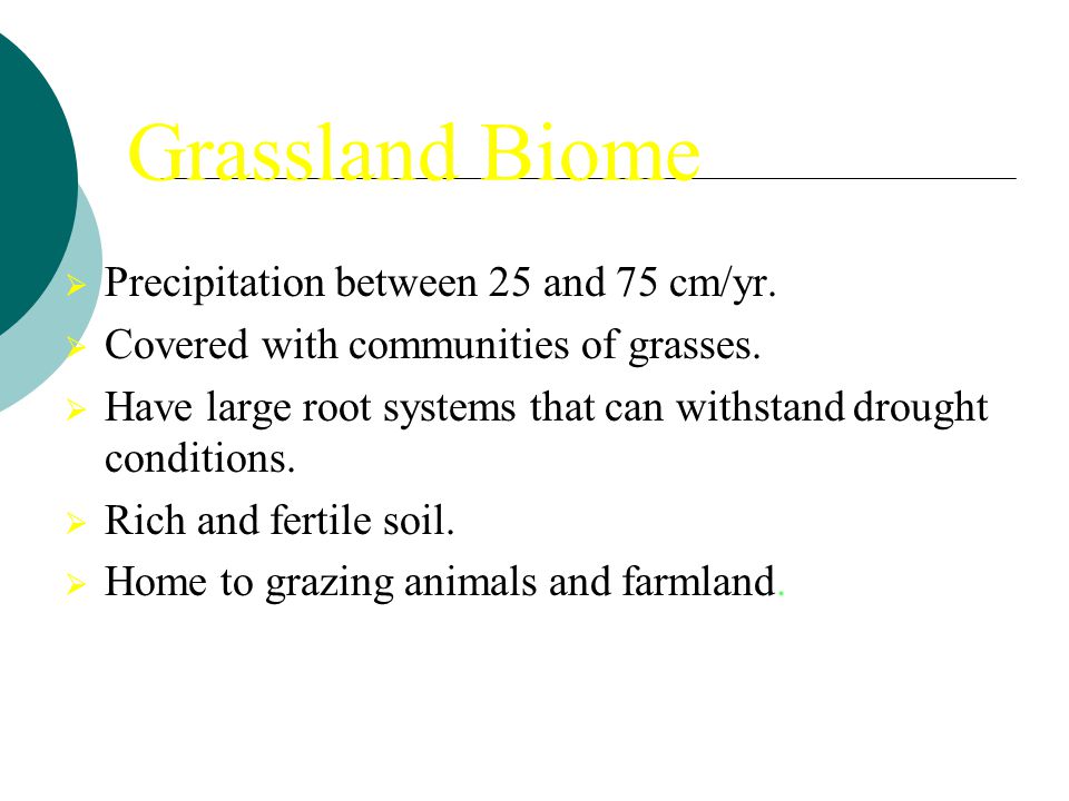 Grassland Biome Precipitation between 25 and 75 cm/yr.