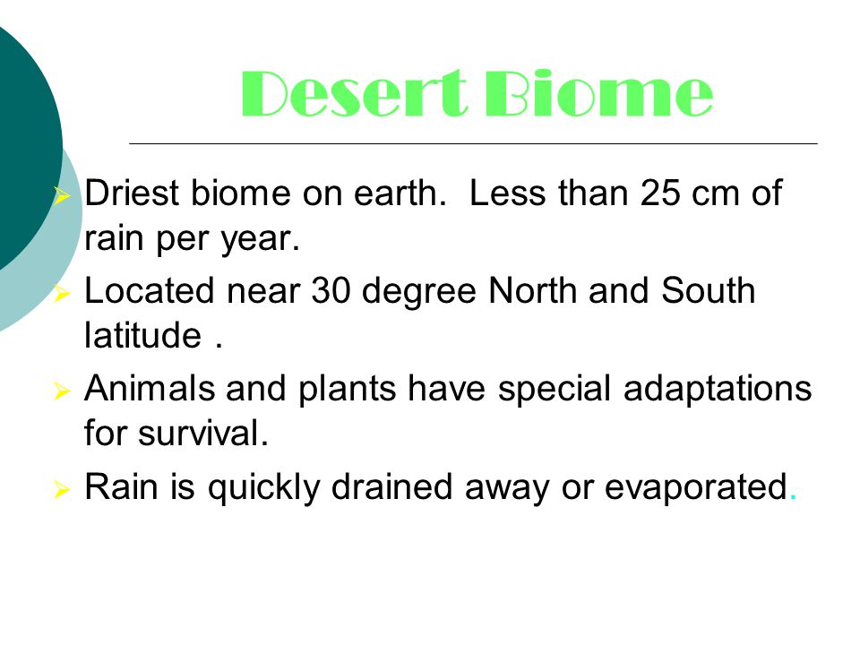 Desert Biome Driest biome on earth. Less than 25 cm of rain per year.