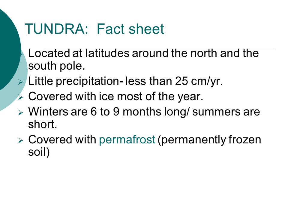 TUNDRA: Fact sheet Located at latitudes around the north and the south pole. Little precipitation- less than 25 cm/yr.