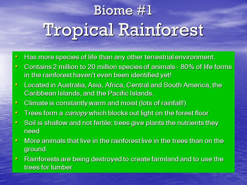 Biome #1 Tropical Rainforest