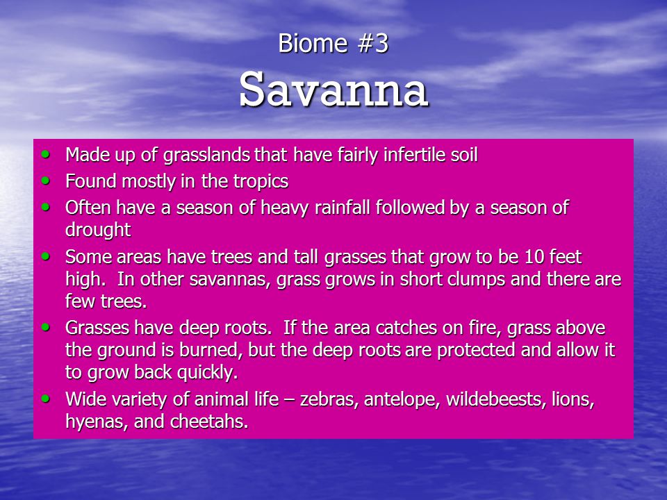 Biome #3 Savanna Made up of grasslands that have fairly infertile soil