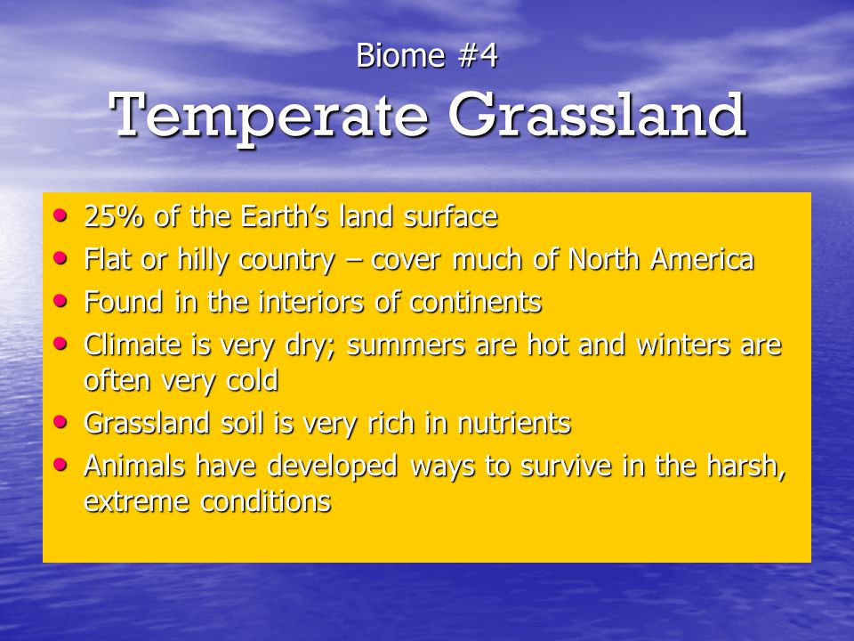 Biome #4 Temperate Grassland