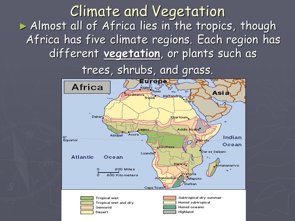 Climate and Vegetation