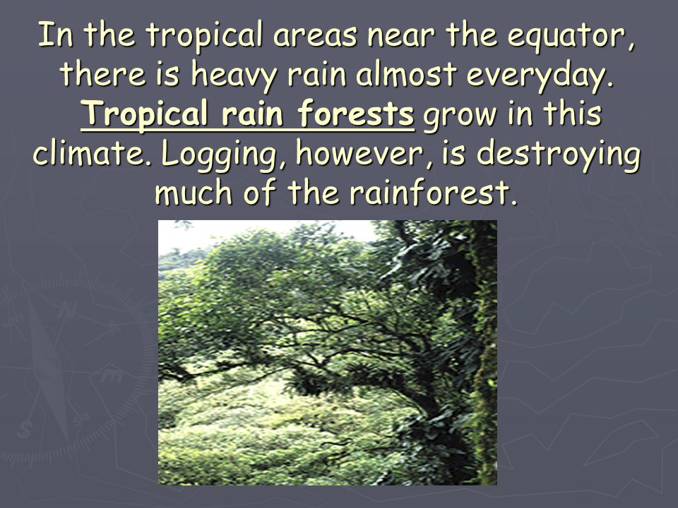 In the tropical areas near the equator, there is heavy rain almost everyday.