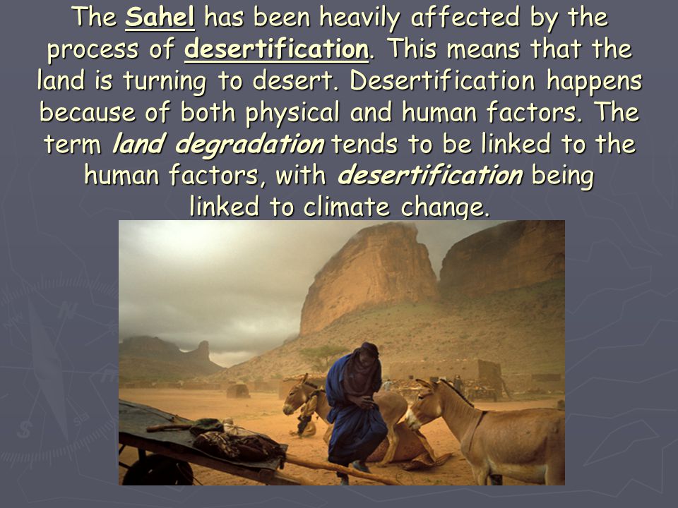 The Sahel has been heavily affected by the process of desertification