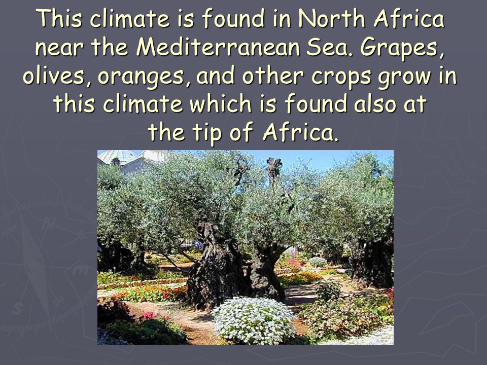 This climate is found in North Africa near the Mediterranean Sea