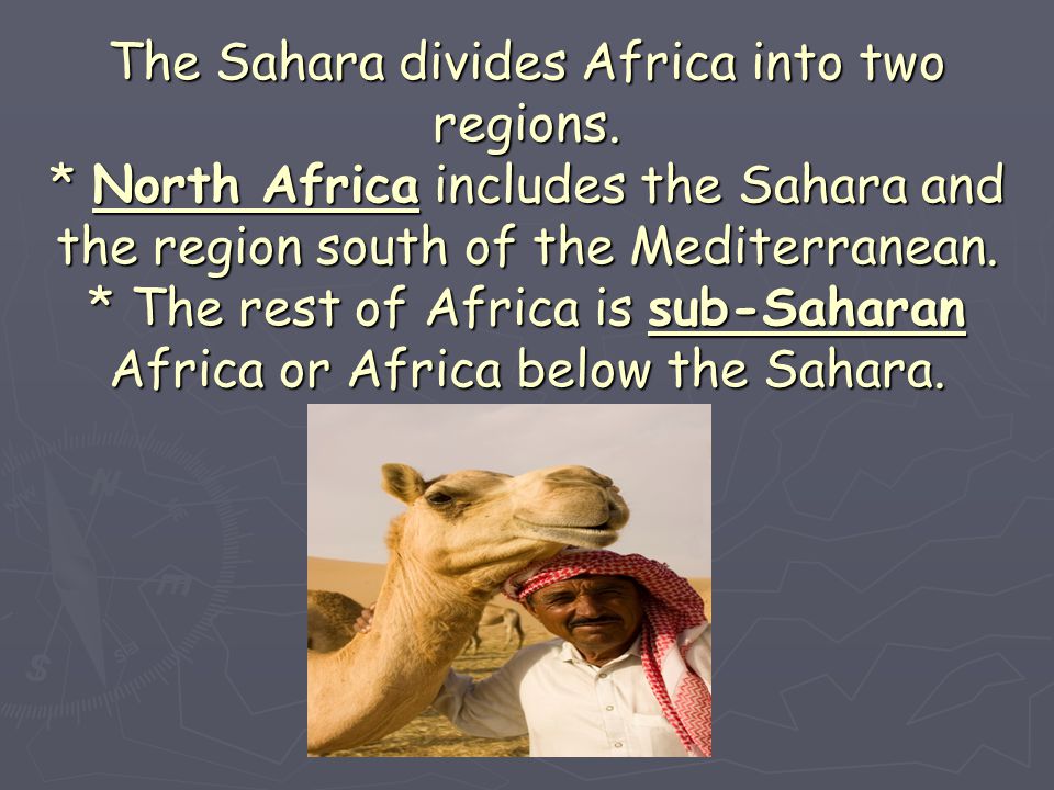 The Sahara divides Africa into two regions