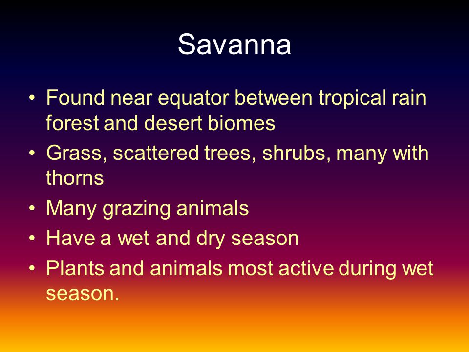 Savanna Found near equator between tropical rain forest and desert biomes. Grass, scattered trees, shrubs, many with thorns.