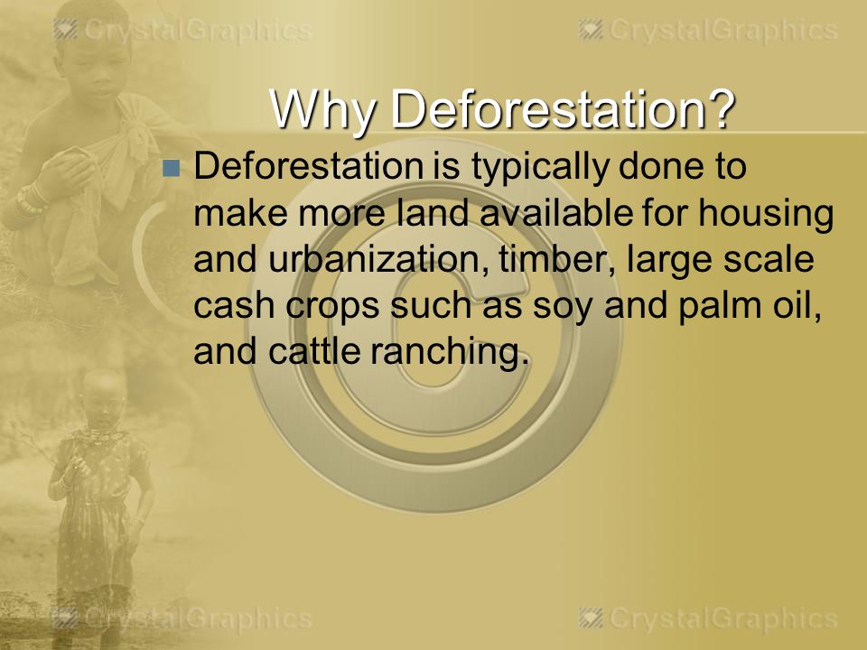 Why Deforestation