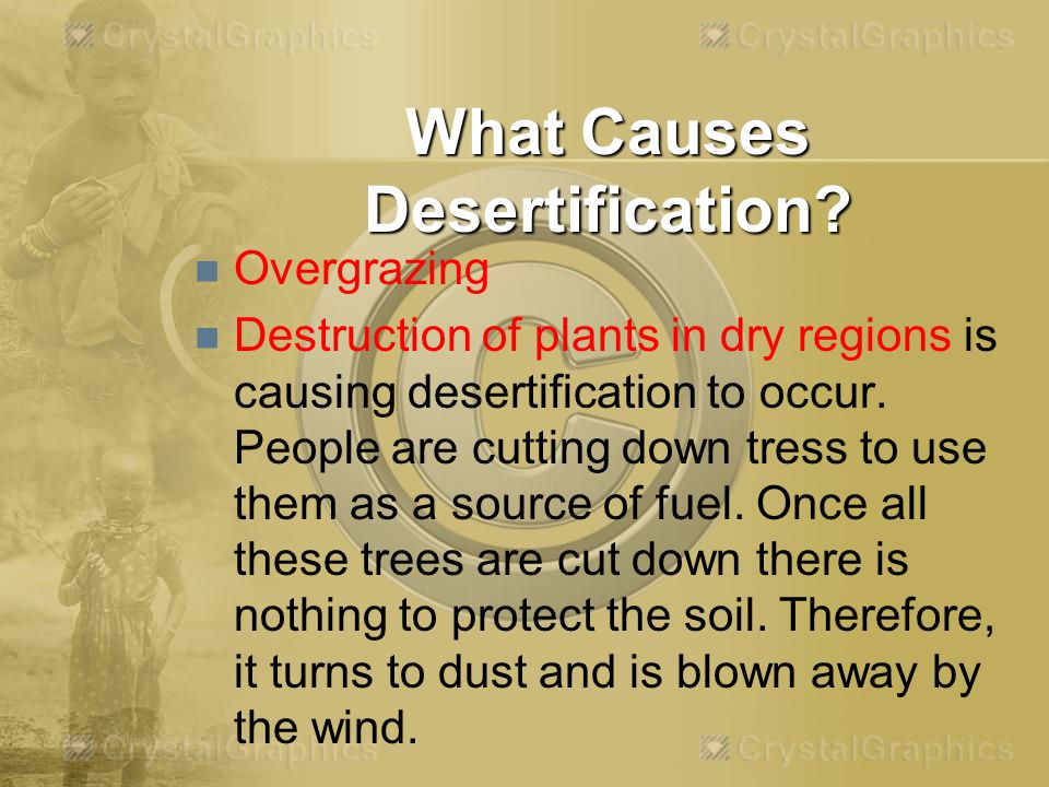 What Causes Desertification