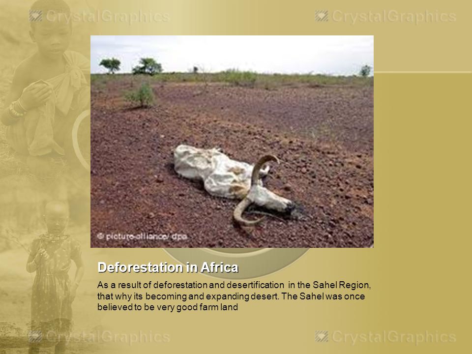 Deforestation in Africa