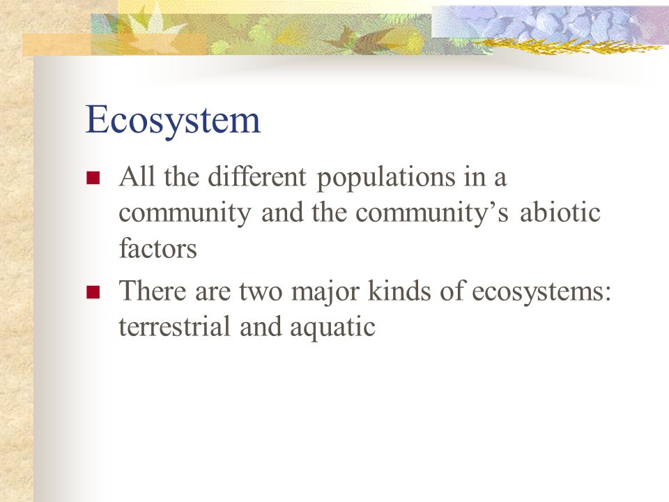 Ecosystem All the different populations in a community and the community’s abiotic factors.