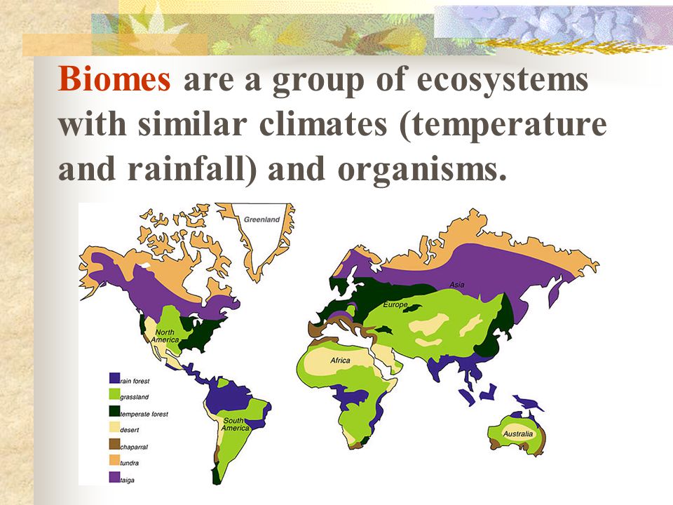 Biomes are a group of ecosystems with similar climates (temperature and rainfall) and organisms.