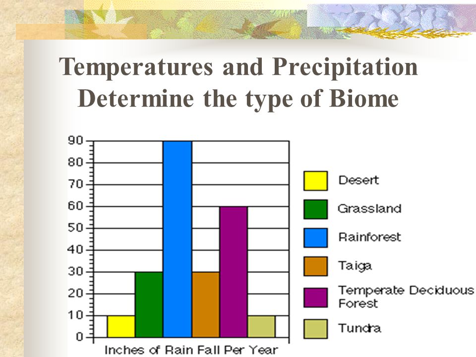 Temperatures and Precipitation Determine the type of Biome