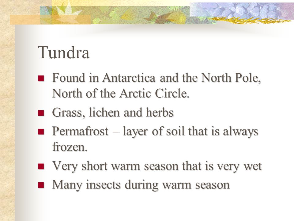 Tundra Found in Antarctica and the North Pole, North of the Arctic Circle. Grass, lichen and herbs.
