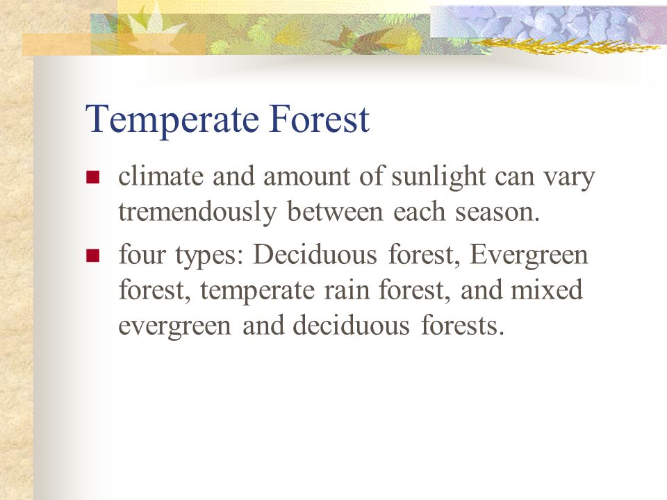 Temperate Forest climate and amount of sunlight can vary tremendously between each season.