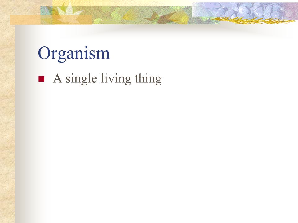 Organism A single living thing