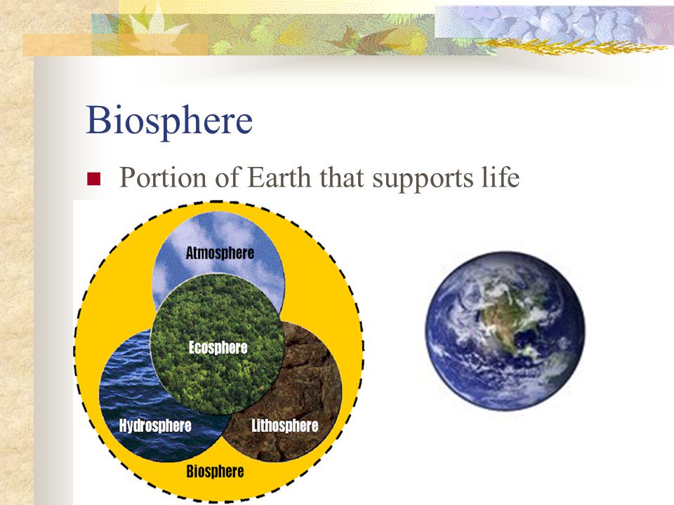 Biosphere Portion of Earth that supports life
