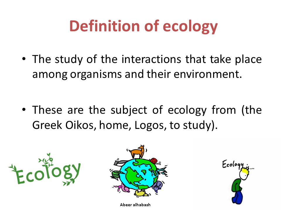 Animal ecology Abeer Alhabash By: Ministry of Higher Education - ppt video  online download
