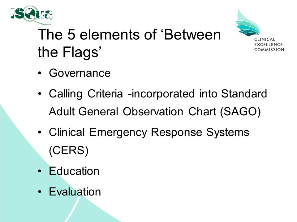 Between The Flags Observation Chart