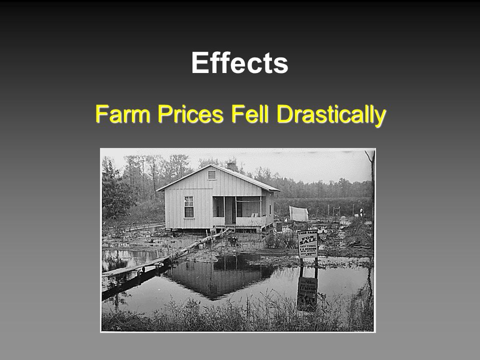 Farm Prices Fell Drastically