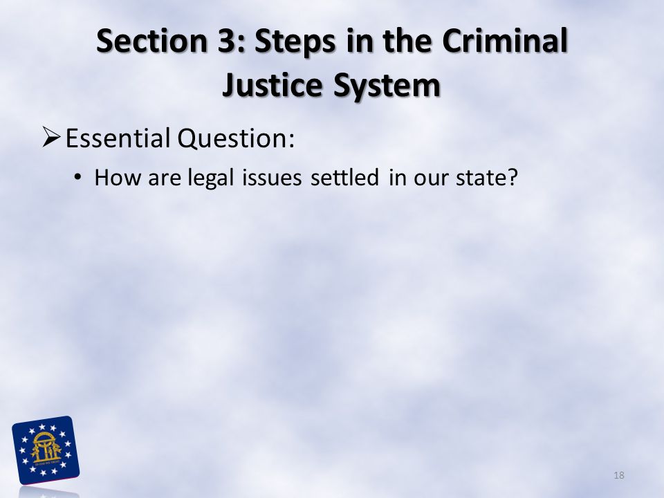Section 3: Steps in the Criminal Justice System