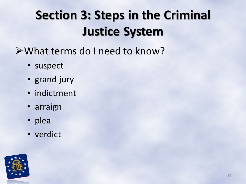 Section 3: Steps in the Criminal Justice System