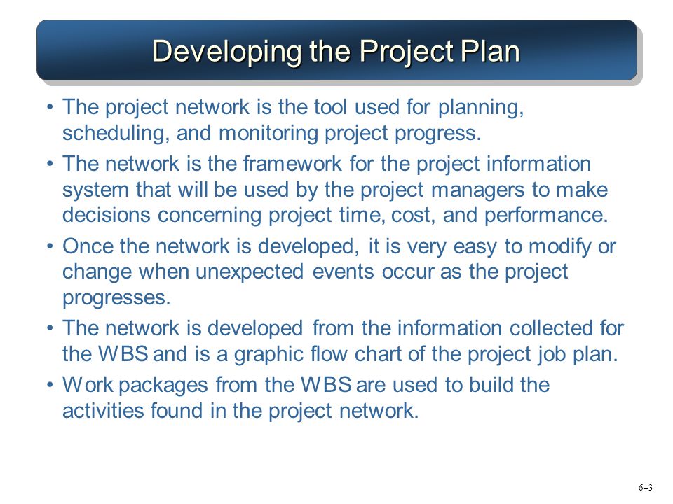 Developing the Project Plan