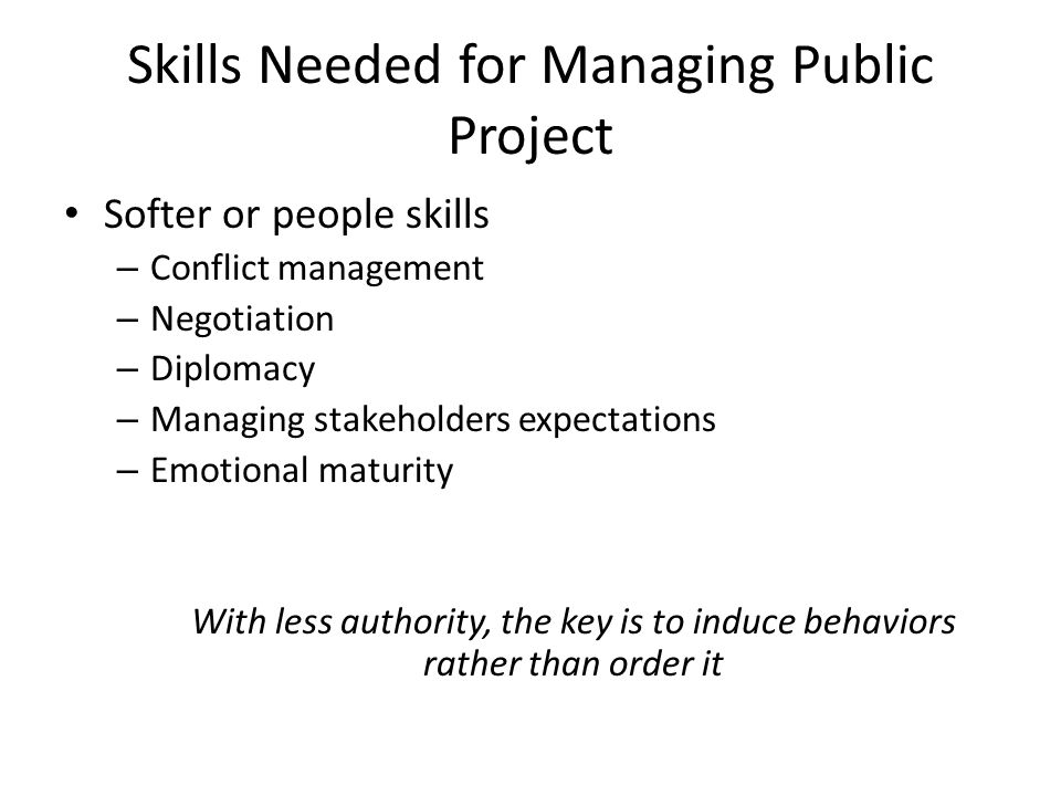 Skills Needed for Managing Public Project