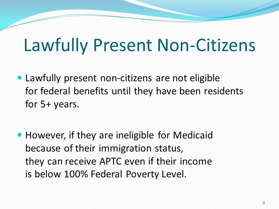 Lawfully Present Non-Citizens
