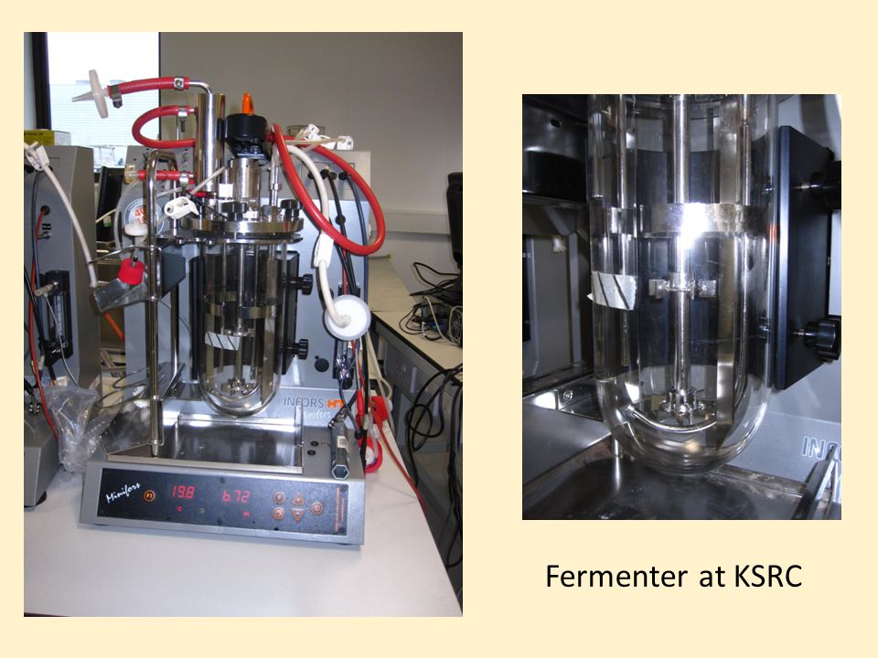 Products based on genetic engineering tend to be produced in small amounts and are suited to much smaller bioreactors