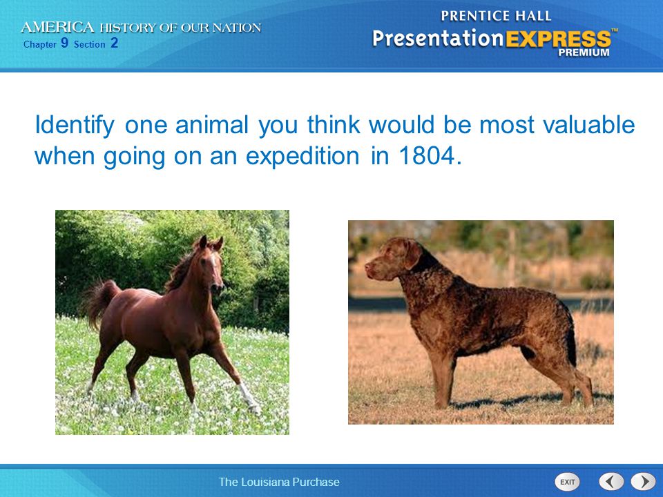 Identify one animal you think would be most valuable when going on an expedition in 1804.