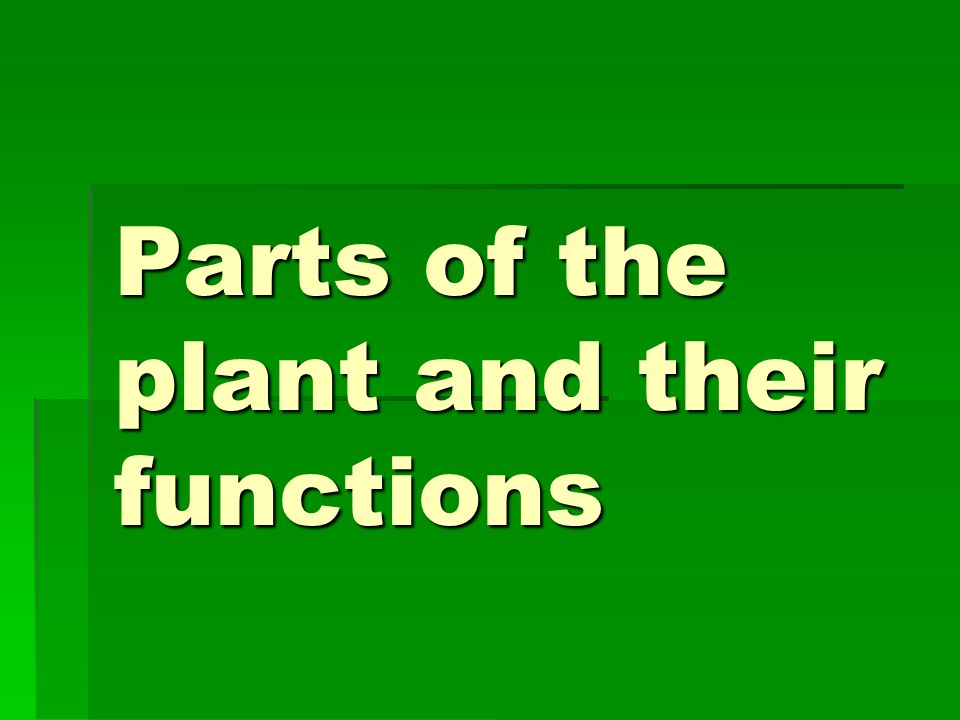 Parts of the plant and their functions