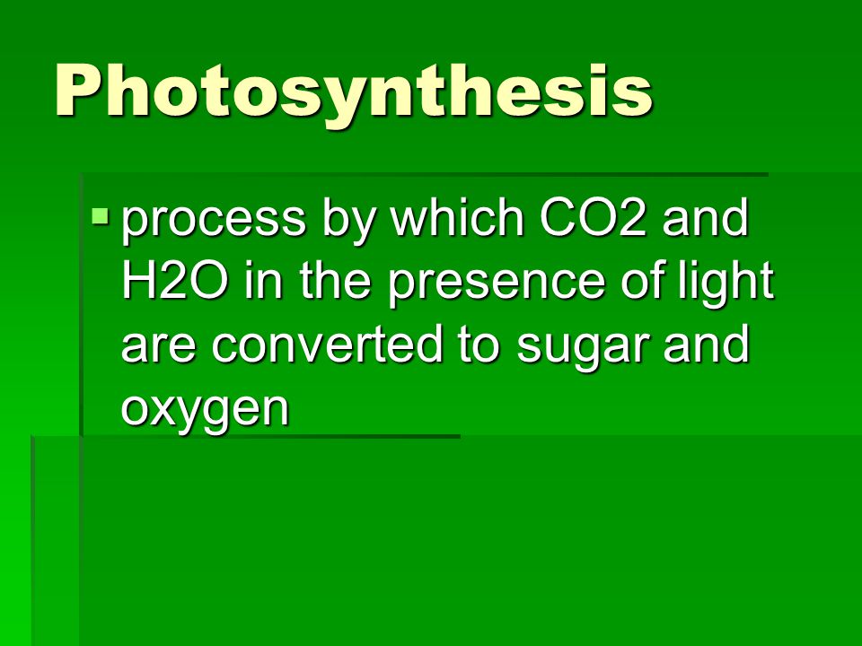 Photosynthesis process by which CO2 and H2O in the presence of light are converted to sugar and oxygen.