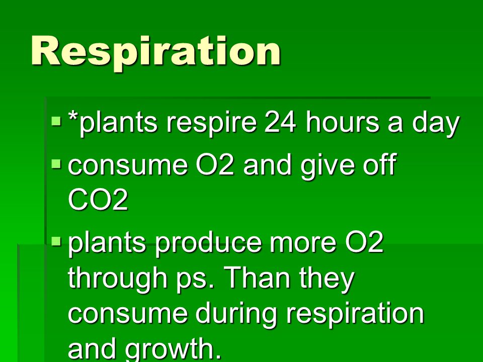 Respiration *plants respire 24 hours a day consume O2 and give off CO2