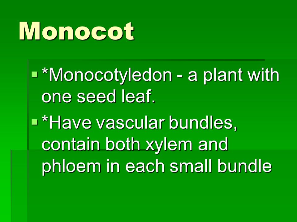 Monocot *Monocotyledon - a plant with one seed leaf.