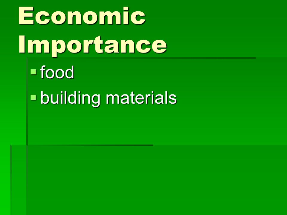 Economic Importance food building materials