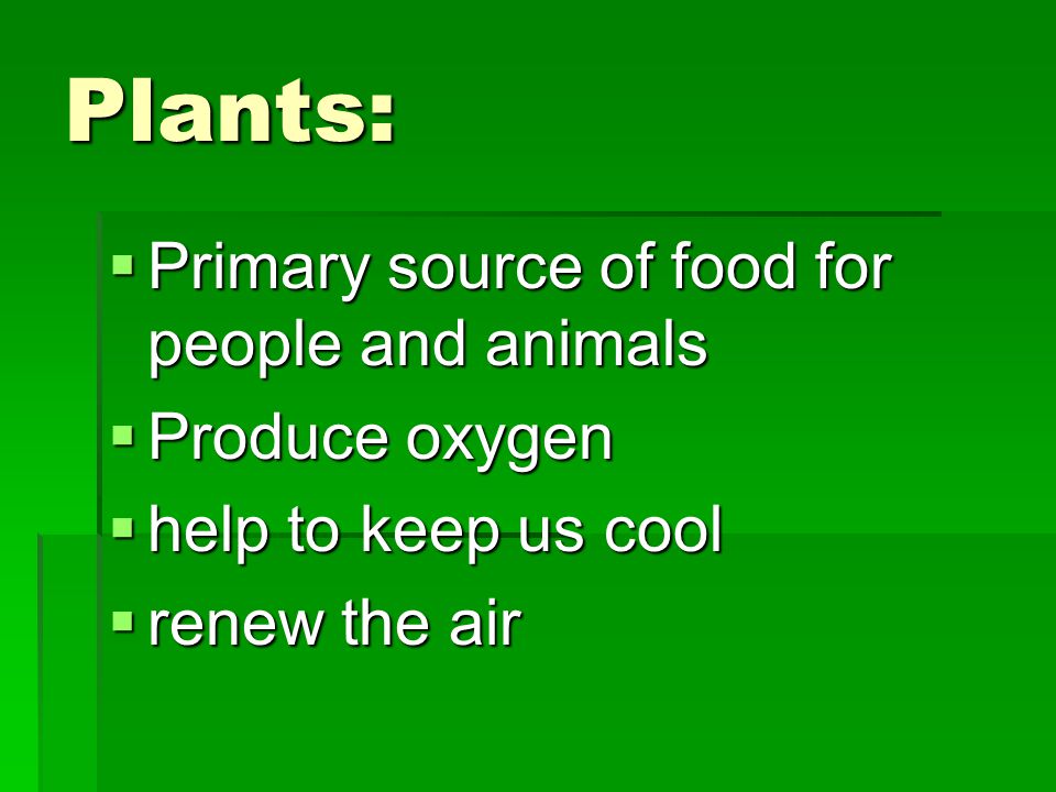 Plants: Primary source of food for people and animals Produce oxygen