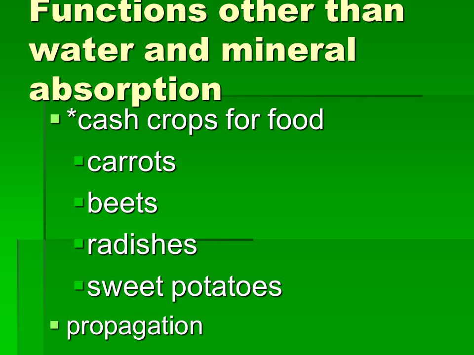 Functions other than water and mineral absorption