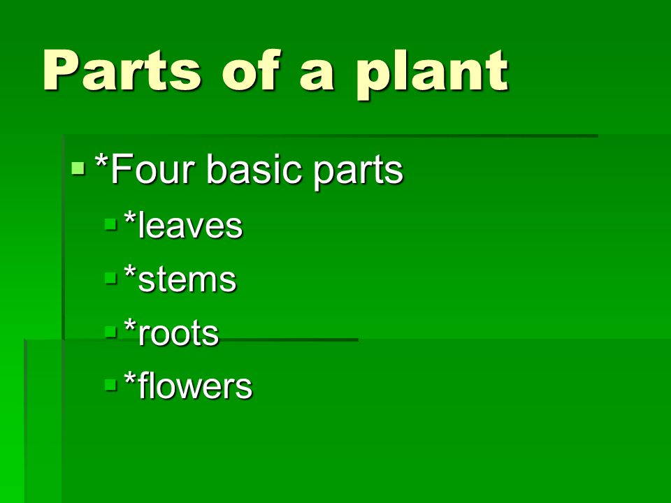 Parts of a plant *Four basic parts *leaves *stems *roots *flowers