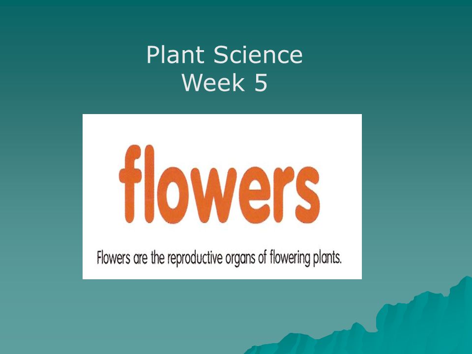 Plant Science Week 5